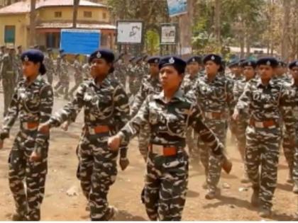 The condition of 300 STPF jawans is miserable as they have not been paid since a year | विदर्भातील वाघांचे ‘रक्षक’ उपासमारीचे शिकार, वर्षभरापासून वेतन नाही