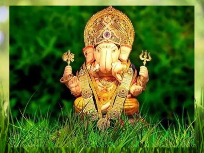 Angaraki Chaturthi 2023: 'This' Special Remedy For angaraki sankashti chaturthi to Fulfillment Of All Wishes! | Angaraki Chaturthi 2023: समस्त इच्छांच्या पूर्ततेसाठी अंगारकीला करा दुर्वांचे 'हे' विशेष उपाय!