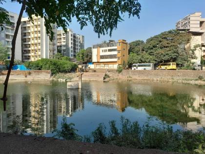 Residents are shocked by the stench of dead fish in Khambalpada Bhoirwadi lake | खंबाळपाडा भोईरवाडी तलावातील मृत माशांच्या दुर्गंधीमुळे नागरिक हैराण