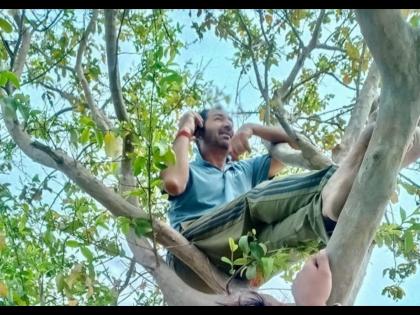 ICC and Indian umpire Anil Chaudhary climbs up trees in search of mobile network amid Corona virus crisis svg | Corona Virusनं भारताच्या अम्पायरला झाडावर चढवले; नेमके काय घडले?