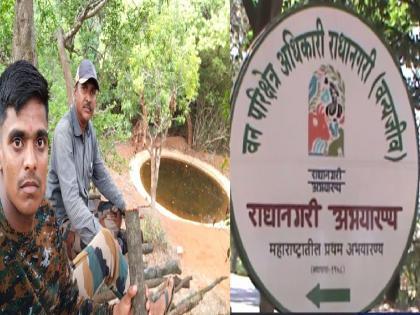 Leopards, tigers not seen in Radhanagari sanctuary census Kolhapur | Kolhapur: राधानगरी अभयारण्यातील प्राणिगणनेत वाघ, बिबट्यांचे दर्शनच नाही