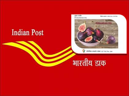 Pune purandar figs will reach all over the country through indian postal tickets and packets | India Post : पोस्टाच्या पाकिटांवरून देशभर पोहोचणार पुण्याची अंजिरे