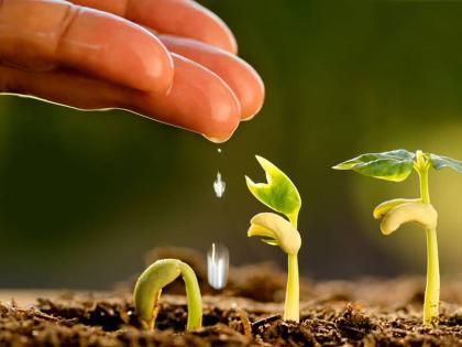 The land is not wasted, proper seeds have to be planted in it! - Gaur Gopal Das | जमीन टाकाऊ नसते, त्यात योग्य बियाणे रुजवावे लागते!- गौर गोपाल दास