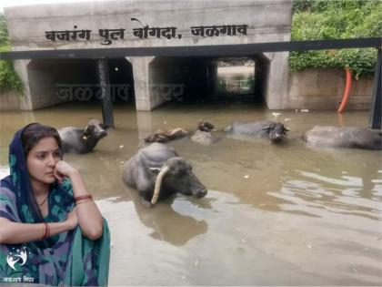 Anushka Sharma's latest turbine of Bajrang tunnel! | अनुष्का शर्मालाही आलयं नवीन बजरंग बोगद्याचा टेन्शन!