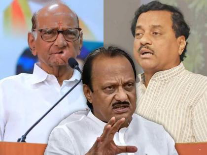 sunil Tatkare sensational claim about Sharad Pawars NCP Ajit Pawar first reaction | शरद पवारांच्या राष्ट्रवादीबाबत तटकरेंचा खळबळजनक दावा; मात्र अजित पवार म्हणाले...