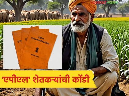 latest news APL Farmer Scheme: Waited for a year and a half, still no money; APL farmers' dilemma | APL Farmer Scheme : दीड वर्ष वाट पाहिली, तरीही पैसे अधांतरी; एपीएल शेतकऱ्यांची कोंडी latest news APL Farmer Scheme: Waited for a year and a half, still no money; APL farmers' dilemma | APL Farmer Scheme : दीड वर्ष वाट पाहिली, तरीही पैसे अधांतरी; एपीएल शेतकऱ्यांची कोंडी