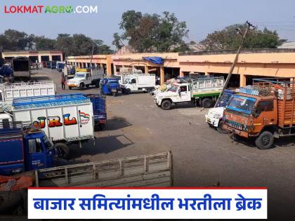 Break in recruitment in 305 agricultural produce market committees in the state; Marketing Department orders | राज्यातील ३०५ कृषी उत्पन्न बाजार समित्यांमधील नोकरभरतीला ब्रेक; पणन विभागाचे आदेश Break in recruitment in 305 agricultural produce market committees in the state; Marketing Department orders | राज्यातील ३०५ कृषी उत्पन्न बाजार समित्यांमधील नोकरभरतीला ब्रेक; पणन विभागाचे आदेश