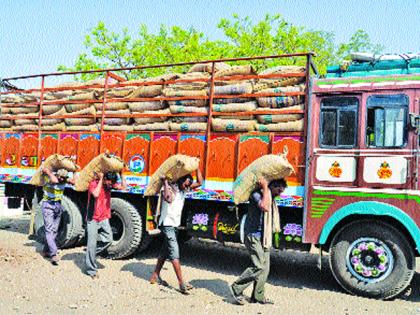 Now we have a hundred kilos of which we can afford? 50 kg of grains are available in the cut! | आता शंभर किलोचं पोतं पेलतंय कुणाला ? पन्नास किलोच्या कट्ट्यामध्येच मिळतंय धान्य !