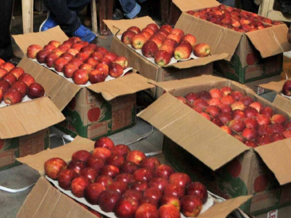 The police were also confused by the method of theft; the apples from Himachal reached Mumbai via Aurangabad | चोरीच्या पद्धतीने पोलीसही चक्रावले;हिमाचलहून आलेले सफरचंद पोहोचले मुंबईत व्हाया औरंगाबाद