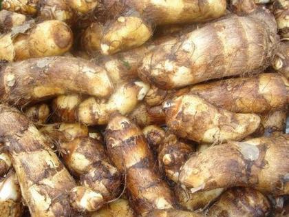 Eat Taro or Colocasia Esculenta lose weight know more benefits | वजन नियंत्रणात ठेवायचं असेल तर खा 'ही' भाजी, जाणून घ्या फायदे!