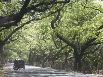 The moratorium on the work of 'Chhatrapati Shivaji Maharaj' at entrance at Aarey Check Naka has not been lifted yet! | अद्याप आरे चेक नाक्यावरील ‘छत्रपती शिवाजी महाराज’ प्रवेशद्वाराच्या कामावरील स्थगिती उठवलीच नाही!