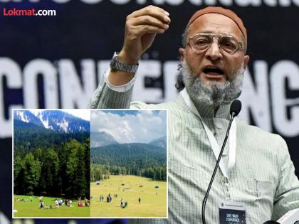 Government Dont know how terrorists reached Pahalgam Asaduddin Owaisi attack Modi government | "बिहारमध्ये बांगलादेशी-रोहिंग्या सापडले, पण पहलगामचे दहशतवादी..."; ओवैसींची सरकारवर टीका Government Dont know how terrorists reached Pahalgam Asaduddin Owaisi attack Modi government | "बिहारमध्ये बांगलादेशी-रोहिंग्या सापडले, पण पहलगामचे दहशतवादी..."; ओवैसींची सरकारवर टीका