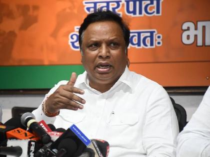 Arrangements will be made for immersion of Ganesh idol in artificial lake in Aarey says Ashish Shelar | आरे'मध्ये कृत्रिम तलावात गणेश मूर्ती विसर्जनाची व्यवस्था, गरज पडल्यास...- आशिष शेलार