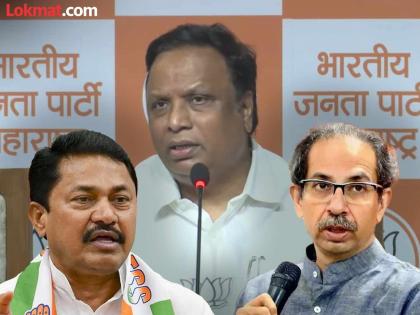 Maharashtra Assembly Election 2024 - In Mumbai, only 2 out of 11 Marathi people get Congress Candidate, BJP targets Uddhav Thackeray along with Congress | मुंबईत काँग्रेसचे ११ पैकी फक्त २ उमेदवार मराठी; भाजपाचा घणाघात, ठाकरे गटावरही निशाणा