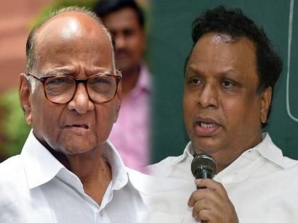 2019 swearing in to shock ncp Sharad Pawar A big statement by bjp mla Ashish Shelar | २०१९ चा शपथविधी शरद पवारांना धक्का देण्यासाठी; आशिष शेलारांचं मोठं विधान