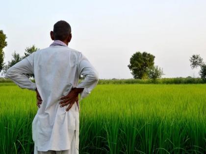 Crop insurance game runs at night, chaos as website hangs all day | पीक विम्याचा रात्रीस खेळ चाले, दिवसभर संकेतस्थळ हँग होत असल्याने गोंधळ