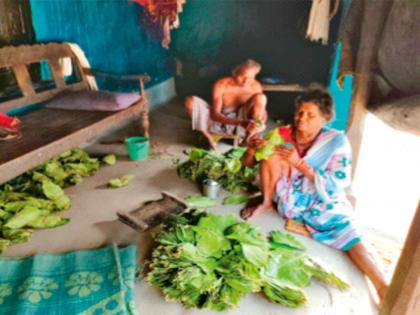 The story of the death of tendupatta workers | तेंदूपत्ता मजुरांच्या पाठी लागलेल्या मृत्यूची गोष्ट The story of the death of tendupatta workers | तेंदूपत्ता मजुरांच्या पाठी लागलेल्या मृत्यूची गोष्ट