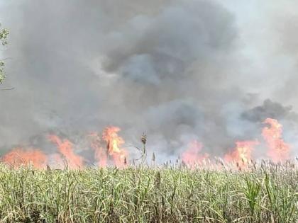 At Banget in Kagal taluka of Kolhapur district, 70 acres of sugarcane was burnt  | बानगेत ७० एकरातील ऊस आगीच्या भक्ष्यस्थानी; शेतीसाहित्याचे मोठे नुकसान 