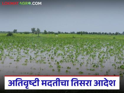 95 crores to 'this' district in third order for heavy rain relief; When will the money arrive in farmers accounts? | अतिवृष्टी मदतीच्या तिसऱ्या आदेशात 'या' जिल्ह्याला ९५ कोटी; शेतकऱ्यांच्या खात्यावर कधी येणार पैसे? 95 crores to 'this' district in third order for heavy rain relief; When will the money arrive in farmers accounts? | अतिवृष्टी मदतीच्या तिसऱ्या आदेशात 'या' जिल्ह्याला ९५ कोटी; शेतकऱ्यांच्या खात्यावर कधी येणार पैसे?