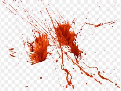 Attempts to murder of a mother in Nagpur: Wounds done by sharp objects | नागपुरात जन्मदात्रीच्या खुनाचा प्रयत्न : टोकदार वस्तूने केले घाव