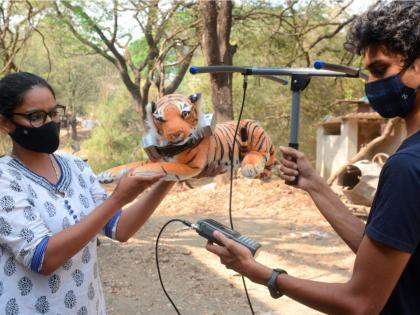 Five leopards in Mumbai will need collars; Planning done for the study | मुंबईतल्या पाच बिबट्यांना लागणार कॉलर; अभ्यासासाठी केले नियोजन