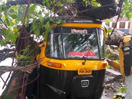 Okra tree 20 years ago fell on a rickshaw | इगतपुरी : २० वर्षांपूर्वीचे भेंडीचे झाड रिक्षावर कोसळले