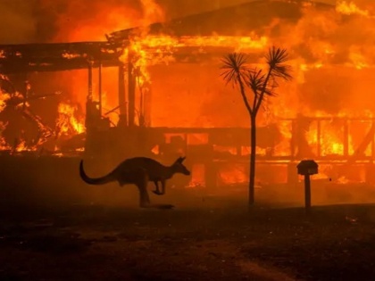 Mumbai Indians Chris Lynn and KXIP Glenn Maxwell to donate 250 dollars to Australia bushfire victims for every six they hit in BBL | ऑस्ट्रेलियातील आगीत संसार उध्वस्त; मुंबई इंडियन्सच्या खेळाडूचा मदतीचा हात