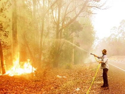 Quench this trend of global warming! | जागतिक तापमानवाढीचा हा वणवा विझवा!