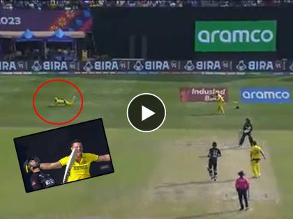 ICC ODI World Cup AUS vs NZ Live :  Josh Hazlewood ends Devon Conway's day after a terrific diving catch from Mitchell Starc, NZ 100/2 (13.4), Video  | मिचेल स्टार्कचा 'स्पार्क'! अविश्वसनीय झेल पाहून सारे झाले अवाक् किवींना मोठा धक्का , Video 