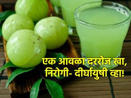 benefits of eating amla every day know the right way to eat | रोज एक आवळा खाण्याचे 'हे' आहेत आश्चर्यकारक फायदे; वजनही होईल कमी आणि...