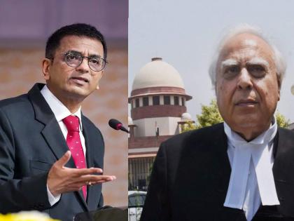 Uddhav Thackeray vs Eknath Shinde Supreme Court: Should we give powers back to the Zirwal's? Chief Justice asked kapil Sibal, what happened in arguments | Uddhav Thackeray vs Eknath Shinde Supreme Court: झिरवळांकडे पुन्हा अधिकार द्यायचे का? शिंदेंचे वकील बाजूलाच राहिले, सरन्यायाधीशांनी सिब्बलांनाच विचारले