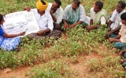 Awareness of farmers on measures to increase productivity! | उत्पादकता वाढीच्या उपाययोजनांवर शेतकऱ्यांचे करणार प्रबोधन!