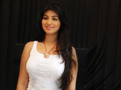 Birthday Special: You know these things of Ayesha Takia | बर्थ डे स्पेशल : आएशा टाकियाच्या या गोष्टी तुम्हाला माहीत आहेत?