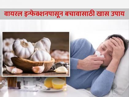 Foods that boost your immunity and fight viral infection | बदलत्या वातावरणात वायरल इन्फेक्शनपासून कसा कराल बचाव? जाणून घ्या उपाय