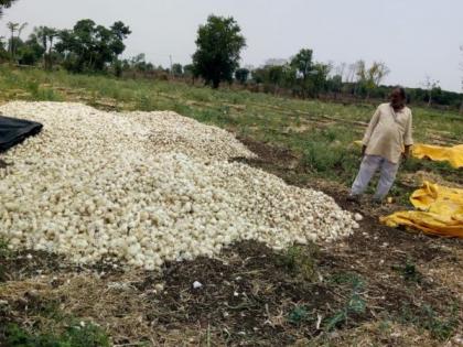 Onion growers rush due to unseasonal rains in Wardha district | अवकाळी पावसामुळे कांदा उत्पादक शेतकऱ्यांची धावपळ