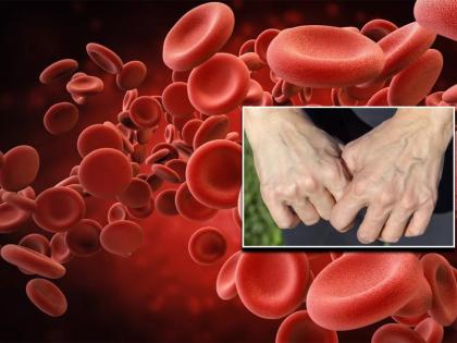 Why Blood is red but veins look bluish? | रक्ताचा रंग लाल असतो मग नसा निळ्या किंवा हिरव्या रंगांच्या का दिसतात? वाचून व्हाल अवाक्...