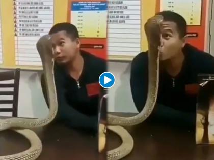 OMG ! Man kiss to giant snake then what happened watch viral video | VIDEO : खतरनाक! सापाच्या नजरेस नजर मिळवून किस करत होता व्यक्ती, बघा पुढे काय झालं....