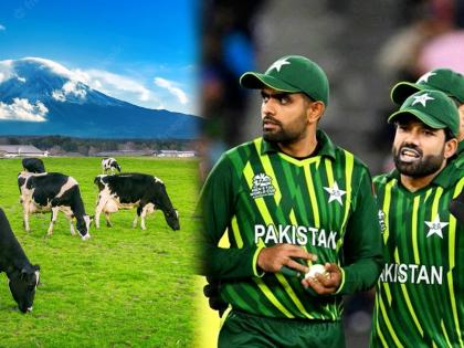 IND vs PAK T20 World Cup 2022 Babar Azam Captaincy is like Sacred Cow that can not Be Criticized Mohammad Hafeez angry on Pakistan Skipper | IND vs PAK, T20 World Cup: "Babar Azam ची कॅप्टन्सी म्हणजे जणू पवित्र गाईसारखीच..."; पाकिस्तानच्या Mohammad Hafeez चा राग अनावर