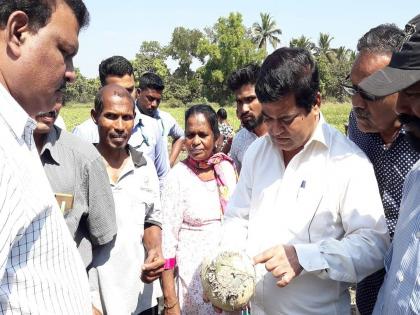 Organic Agricultural University soon established in Goa | गोव्यात लवकरच सेंद्रिय कृषी विद्यापीठाची स्थापना- बाबू कवळेकर