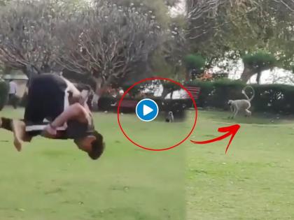 monkey copies backflip by man video goes viral on internet | Viral Video: माकाडाला चॅलेंज द्यायला गेला, पण माकडानं केलं असं काही की बोलती झाली बंद