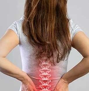 जो-तो म्हणतोय दुखतेय पाठ, लावा बाम! कशामुळे वाढते आहे पाठदुखीचे प्रमाण, गंभीर आजाराचा धोका