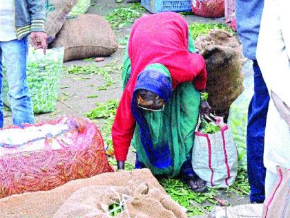 Vegetable in the trash sold in the market! Types of Saturn: With the prospect of darkness, continuous business is done; Healthy questions are serious | कचऱ्यातली भाजी चक्क बाजारपेठेत विक्रीला ! साताऱ्यातील प्रकार : अंधाराचा आसरा घेऊन सुरू आहे बिनभांडवली धंदा; आरोग्याचा प्रश्न गंभीर