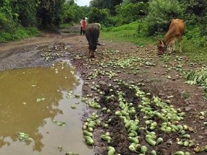 The price of Rs 40 when giving to the customer, but only Rs 3 in the hands of the farmer? | ग्राहकाला देताना ४० रुपये भाव, शेतकऱ्याच्या हातावर मात्र फक्त ३ रुपये?