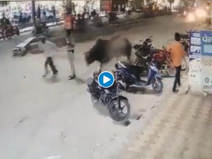 bull attacks police constable on the duty in delhi | Viral Video: बाबो! शांतपणे आपली ड्युटी करत होता पोलीस, मागुन बैल आला अन् उचलून जमीनीवर फेकलं