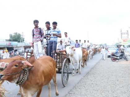 Elephant of bullock-owner, state-wide agitation will attract government attention | बैलगाडा मालकांचा एल्गार, राज्यव्यापी आंदोलनाद्वारे शासनाचे लक्ष वेधणार