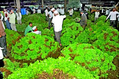 Hearing of market committee dismissal on August 11 | बाजार समिती बरखास्तीची सुनावणी ११ आॅगस्टला