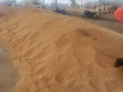 The Chalisgaon Market Committee procured the grain only after 'lock open' | चाळीसगाव बाजार समिती 'लॉक ओपन'नंतरच धान्य खरेदी