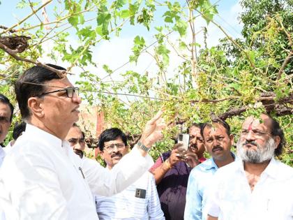 congress balasaheb thorat visit farmers to see damage due to unseasonal rain in nashik | “निकष बाजूला ठेवा अन् शेतकऱ्यांचे जितके नुकसान झाले आहे तेवढी मदत करा”: बाळासाहेब थोरात