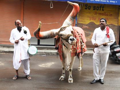 What to say; The stomach filled only when the neck moved | काय सांगताय; मान हलवली तरच भरतं पोट