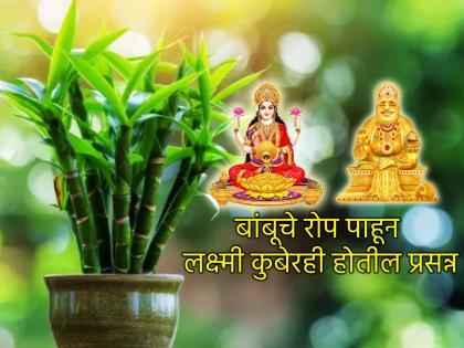 Vastu Tips: शुक्रवारी बांबूचे रोप आणा घरी, लक्ष्मी कुबेर येतील दारी; चुकवू नका योग्य दिशा!